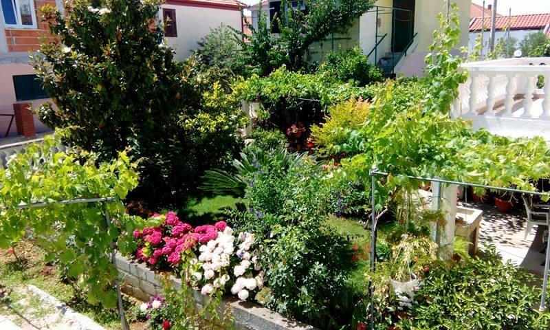 Apartment Matovina Задар Екстериор снимка